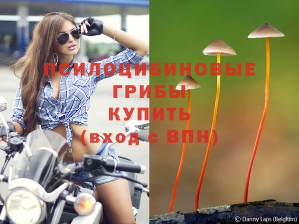 гидра Магас