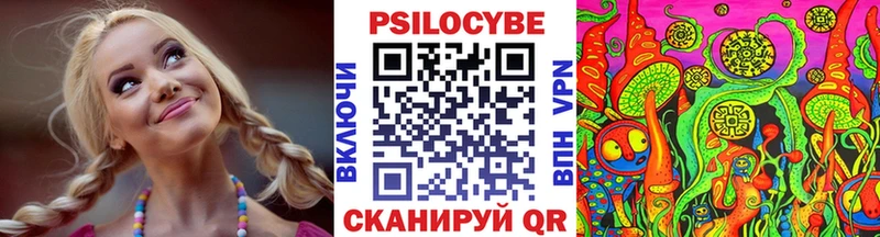 Псилоцибиновые грибы Psilocybe  Купить где  Новосиль 